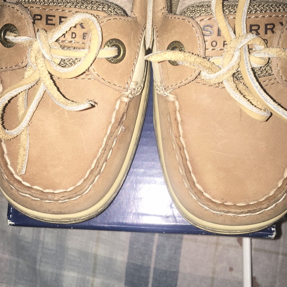 Sperry's angel fish (SEND OFFERS) - Picture 2 of 5